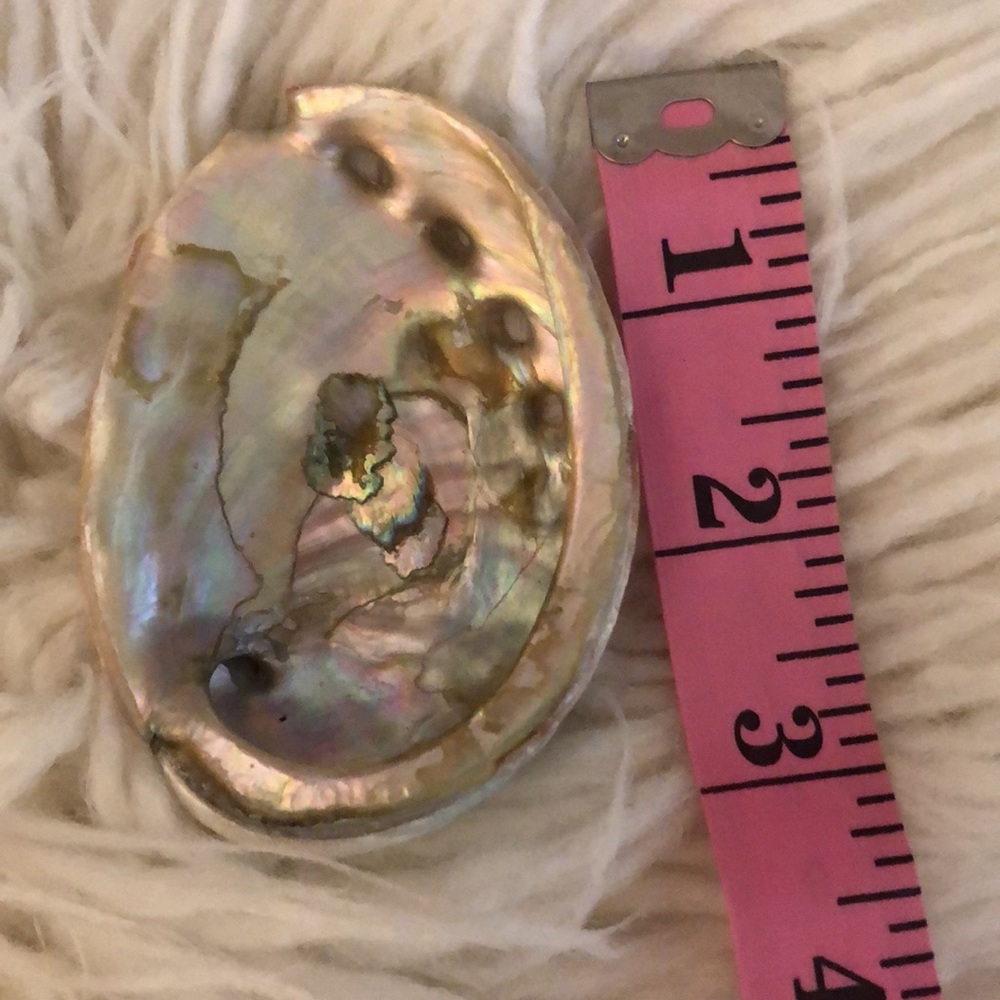 Genuine abalone shell - Picture 3 of 4